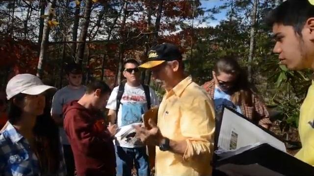 Amelanchier arborea смотреть онлайн