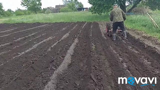 первое окучивание после сильного дождя.на мб гросхоппер. смотреть онлайн