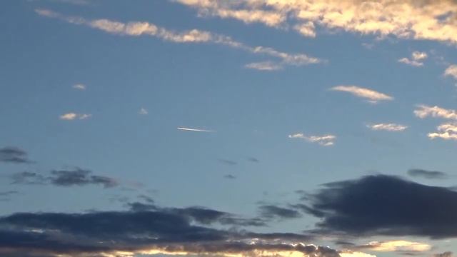 Что делают гуси в пять часов утра? смотреть онлайн