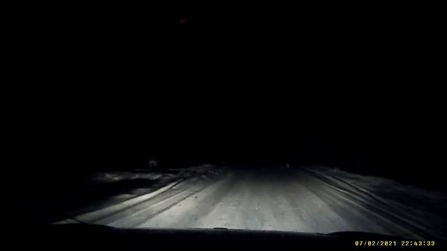 Белый пушистый зайчик в свете фар смотреть онлайн