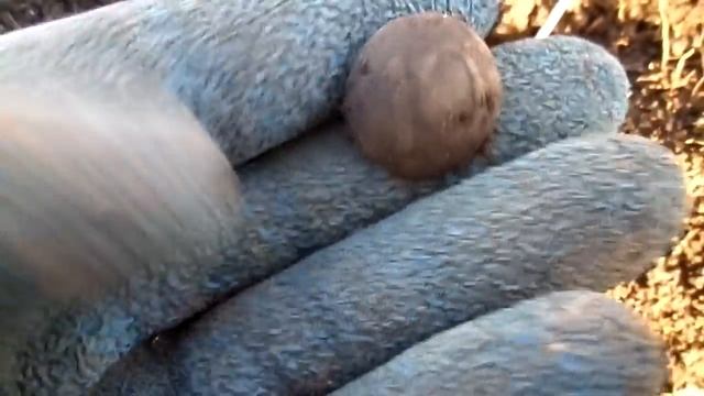 Коп с полицией(( Как менты обломали хороший коп смотреть онлайн