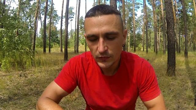 186. Дрессировка и воспитание собак. Ответы на вопросы подписчиков смотреть онлайн