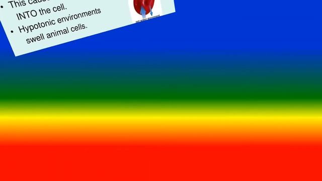 CELL MEMBRANE STRUCTURE - Physiology смотреть онлайн