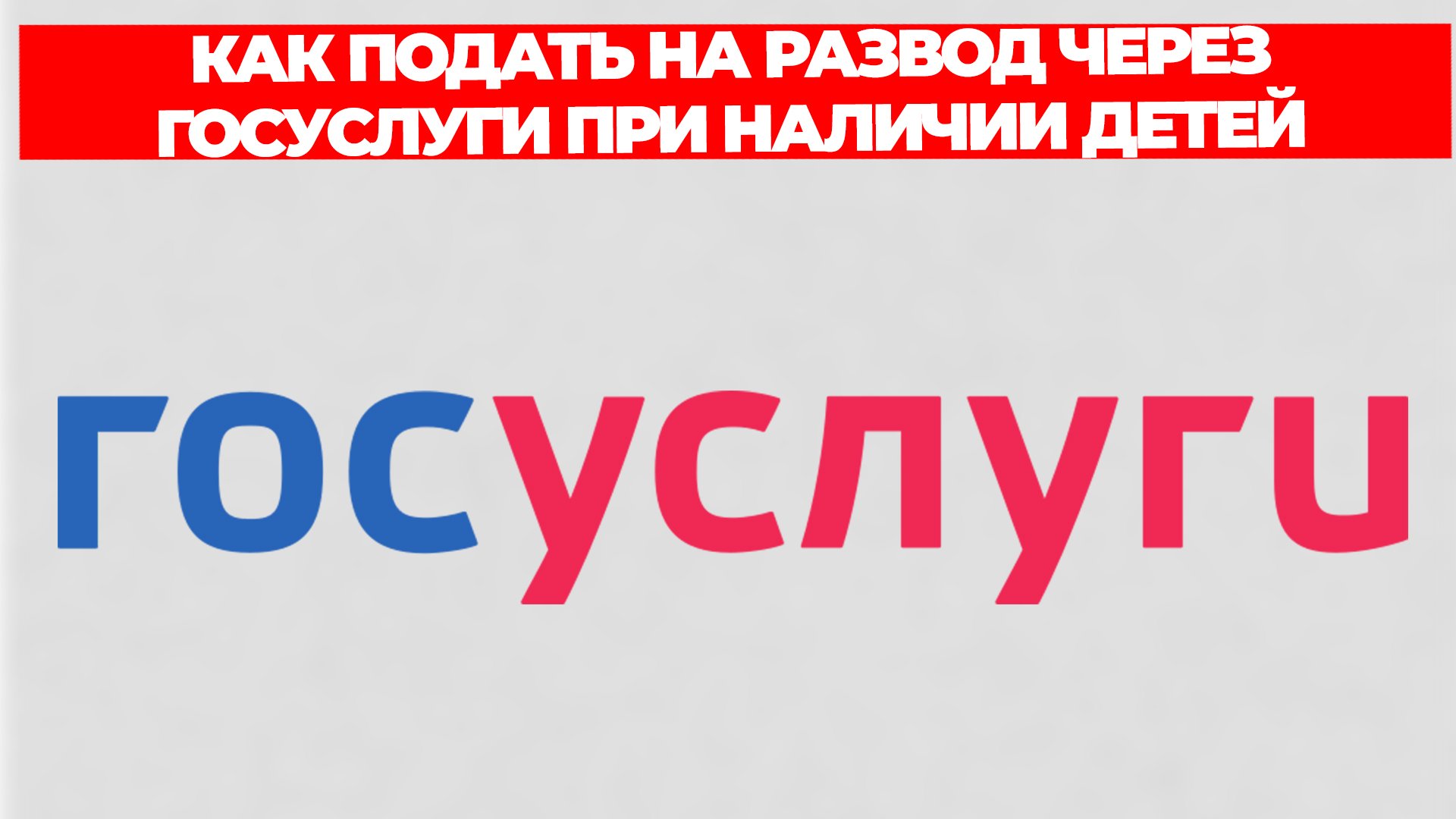 Всезнающий Енот