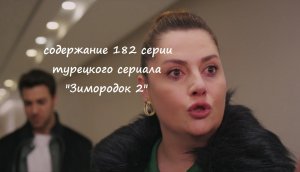 Содержание 182 серии (22 турецкая) второго сезона сериала «Зимородок» (РФ, 2023 / 2024)