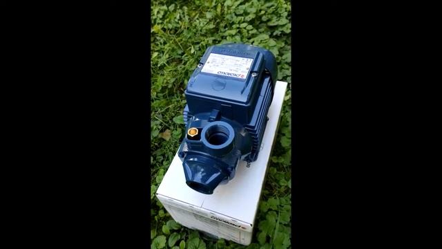 Вихревой насос Pedrollo PKm80 смотреть онлайн