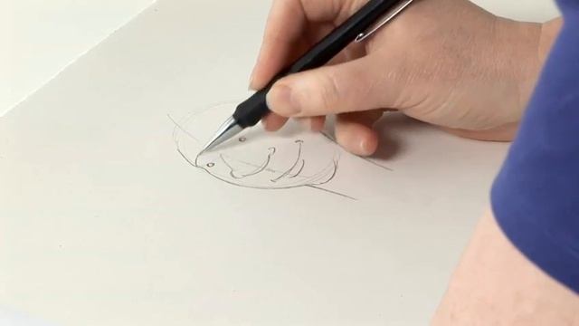 How To Sketch Cartoon Faces смотреть онлайн
