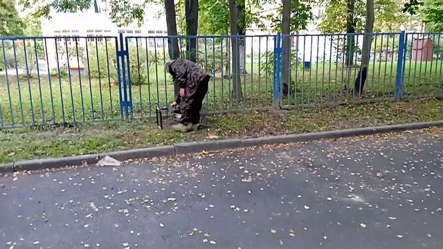 Отлов и пересадка бездомных кошек для стерилизации Комитетом по благоустройству Петербурга смотреть онлайн