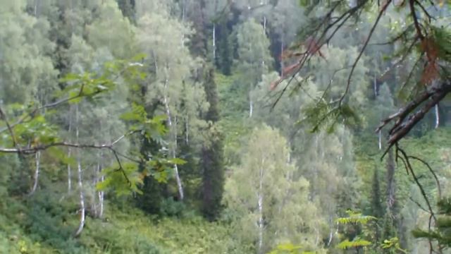 Природная лаборатория вулканов Бельсинского заказника смотреть онлайн