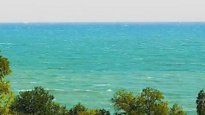 И НЕ ТО ЧТОБЫ ДА. Ю.ОСЕТРОВ. муз. Д.Тухманов, сл. И.Шаферан