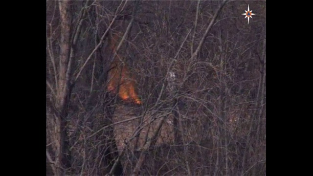 СУХАЯ ТРАВА