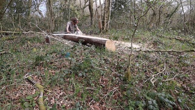 Off Grid Earthbag Workshop, Part 50 Harvesting Wood From My Woodland смотреть онлайн