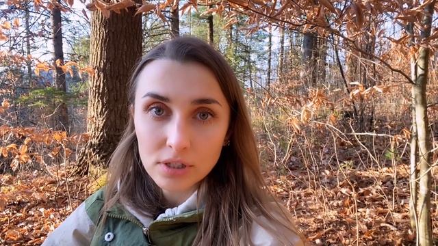 5 САМЫХ ВАЖНЫХ ДОКУМЕНТОВ В США | Без них не сможешь жить в Америке смотреть онлайн
