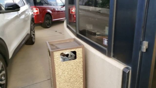 Зайцы, форды и нефтекачалки в Денвере смотреть онлайн