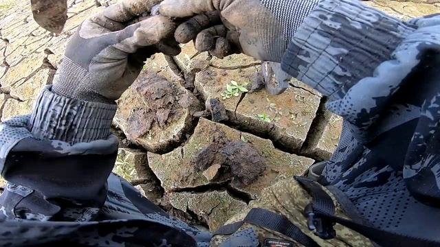 Осушили водоем, ходим по дну с металлоискателями. смотреть онлайн