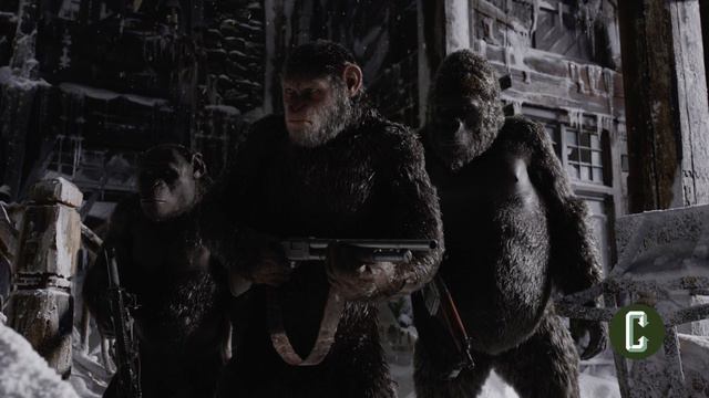 War for the Planet of the Apes Features Original Character | Collider News смотреть онлайн