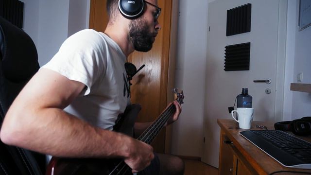 I've just seen a Face | The Beatles Cover | Severin Gomboc смотреть онлайн