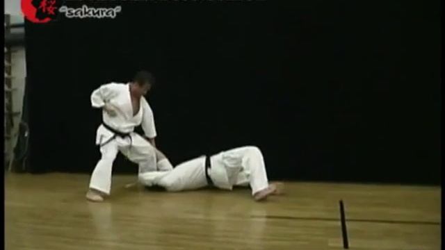 57 Кёкусинкай Карате Сжатие внутренней пружины и дыхание применение Урок 57 смотреть онлайн