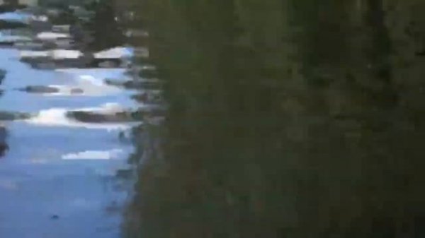 Model Speedboat Flying Fish Double Horse 7007