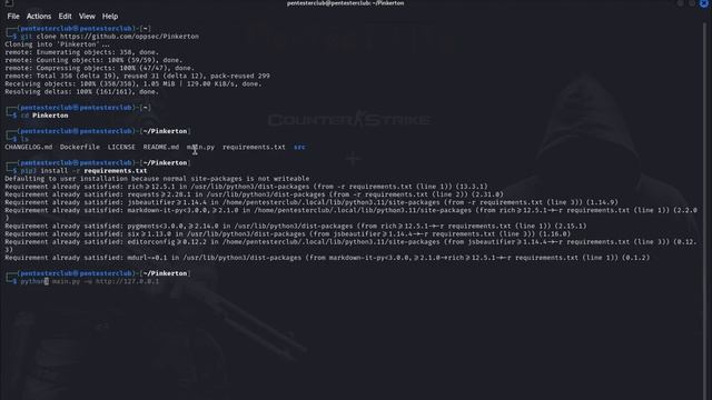 Unveiling JS Secrets: Unleashing Pinkerton, the web-Changing Python Script смотреть онлайн