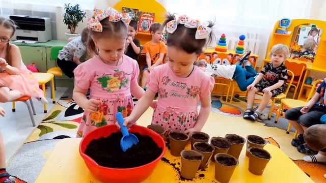 Павловский (средняя группа). Познание. смотреть онлайн
