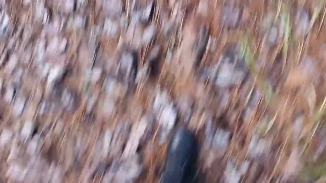 Clorts Trekking Bot - Ayakkabı Önemlidir ;) смотреть онлайн