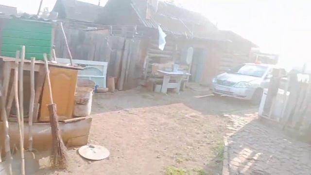 Сборная солянка ?.Кролики ,утки,гуси рассада ..... смотреть онлайн