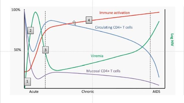 Вирус иммунодефицита человека. смотреть онлайн