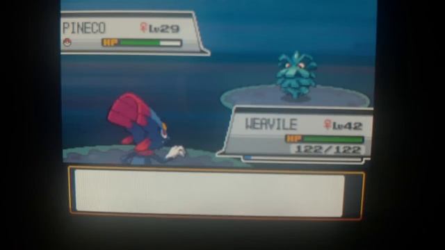 How to Catch Pineco - Pokemon Heart Gold and Soul Silver смотреть онлайн