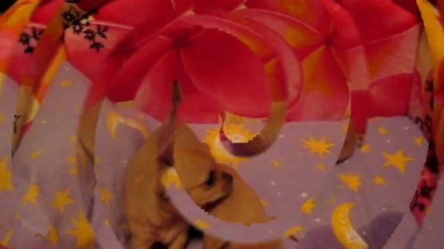 Атика Кристмас и Аурика ЯрТиС.mp4 смотреть онлайн