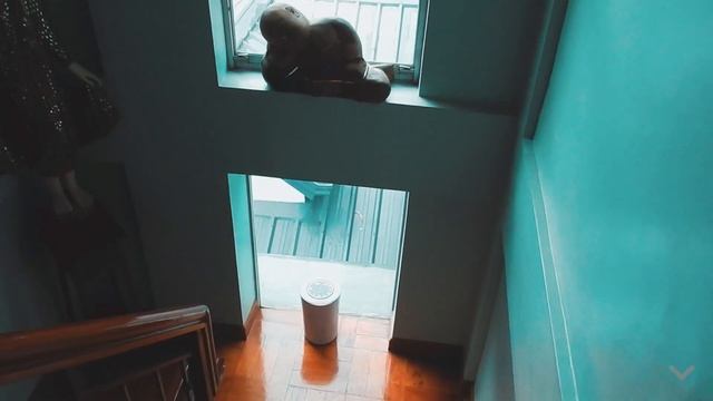 Desktop Air Purifier HEPA 13 Filter смотреть онлайн