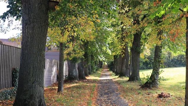 8 полезных привычек, когда нет сил и энергии ничего делать смотреть онлайн