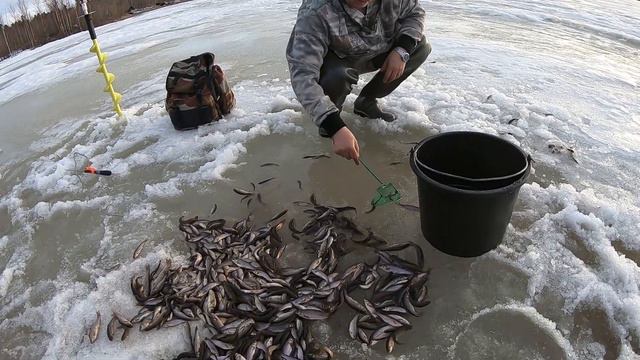 ПОСЛЕДНИЙ ЗОЛОТОЙ ЗАПАС ЖИВЦОВ НА ВЕСЕННЮЮ РЫБАЛКУ! ДЕВЯТЬ МЕСЯЦЕВ ГАЛЬЯНЫ ЖДАЛИ ВСТРЕЧИ СО ЩУКОЙ! смотреть онлайн