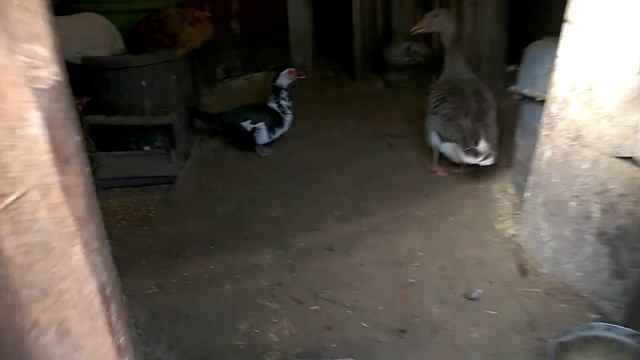 День после шторма и отключения света смотреть онлайн