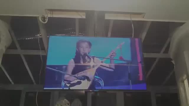 Телевизор из потолка. Лифт Venset 1000A смотреть онлайн