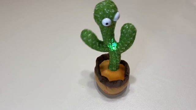Wiggly Dancing Cactus смотреть онлайн