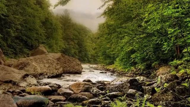 Алхимия человеческого духа, Ларионов Игорь (аудиокнига, читает NikOsho)