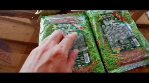 Сажаем газон из клевера