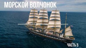 Морской Волчонок аудиокнига  Томас Майн Рид часть 5