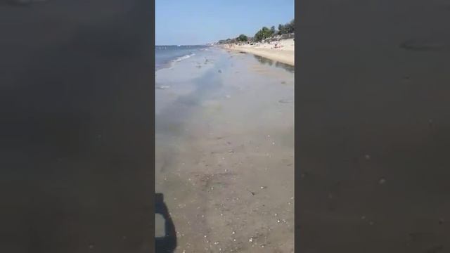 Азовское море, голубицкая смотреть онлайн