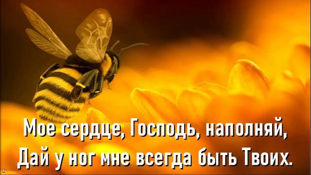 Приготовь мое сердце, Господь (хвала, дети) смотреть онлайн