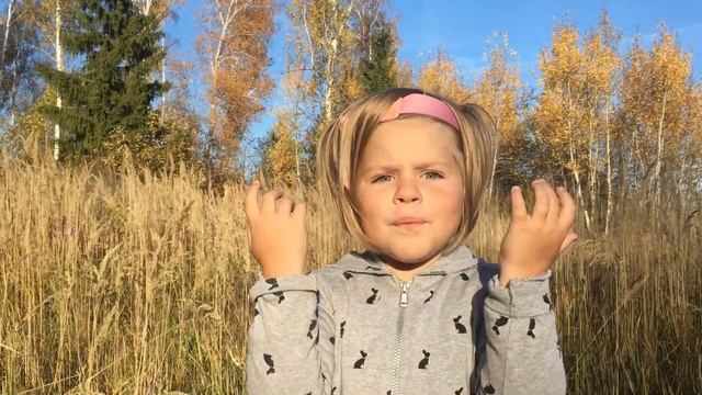 Стих о творческой работе, читает Шатилова Екатерина смотреть онлайн