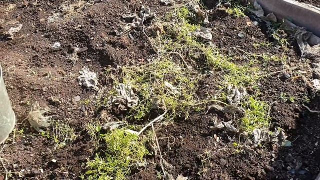 Мы на даче. Подготовка к зиме смотреть онлайн