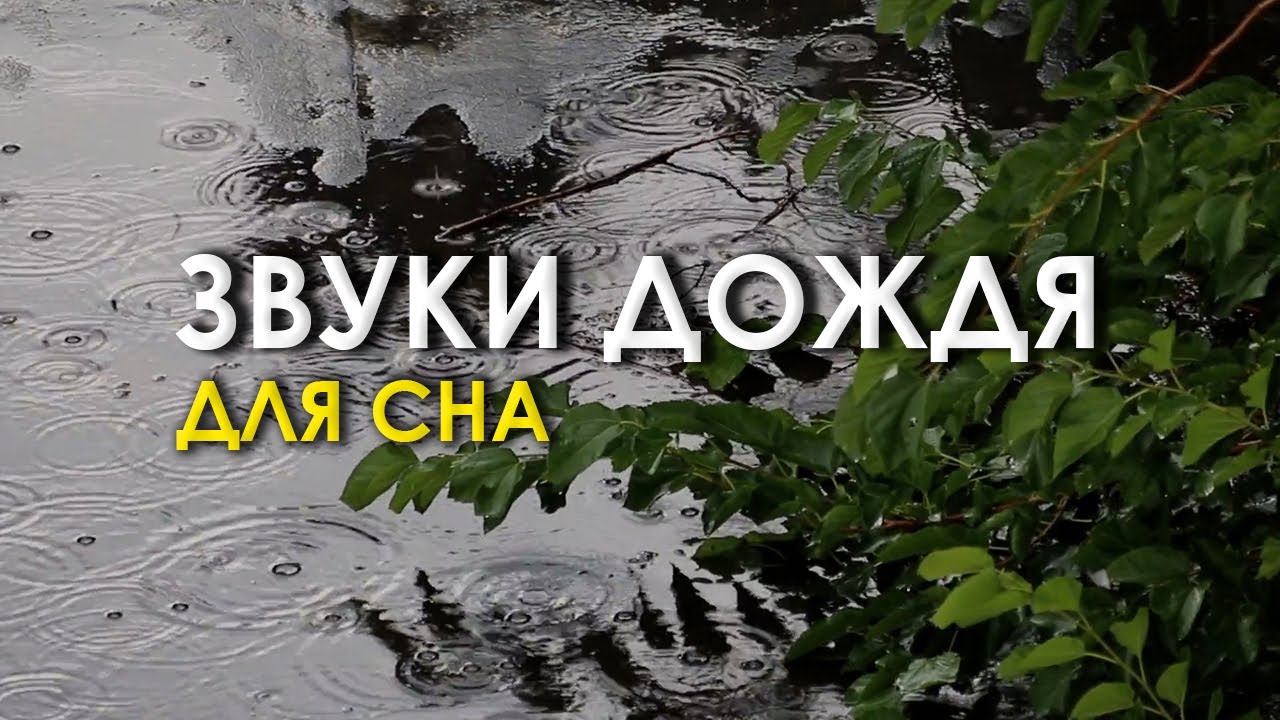 Успокаивающий звук дождя для сна в зеленом лесопарке. Релакс для расслабления. смотреть онлайн