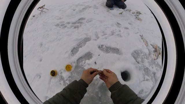 Рыбалка в Астрахани, бешеный клёв бары !!!! смотреть онлайн