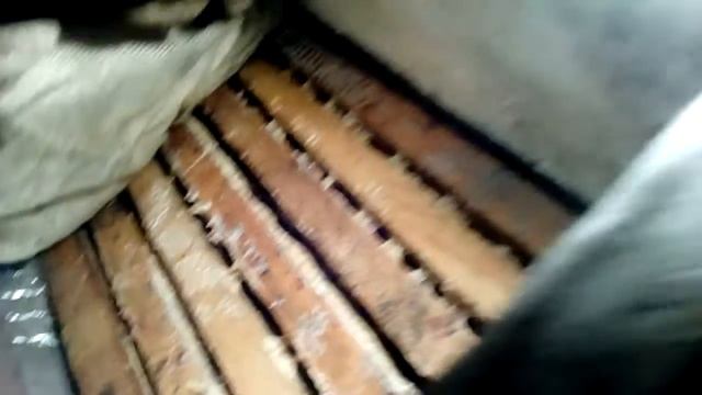 Словенка зима 2017 Тюмень смотреть онлайн