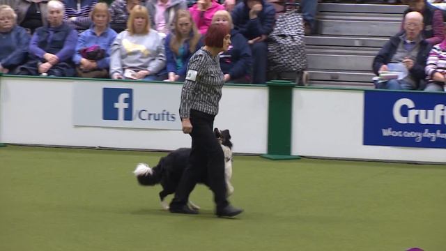 Obedience - Bitch Championship - Part 17 | Crufts 2018