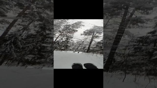 катаемся на Горках)))