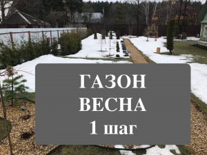 Газон весна 1 шаг