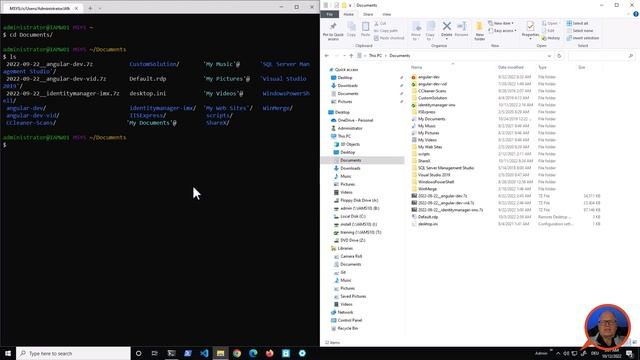 Identity Manager | Angular Web Development #7 | Modifying the Standard Web Portal #1 смотреть онлайн